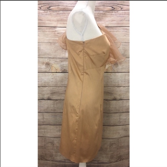 Badgley Mischka by Mark & James Ruffle Dress - Picture 4 of 8